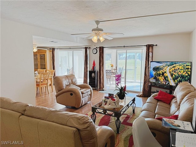 living room with ceiling fan, light hardwood / wood-style floors, and a textured ceiling