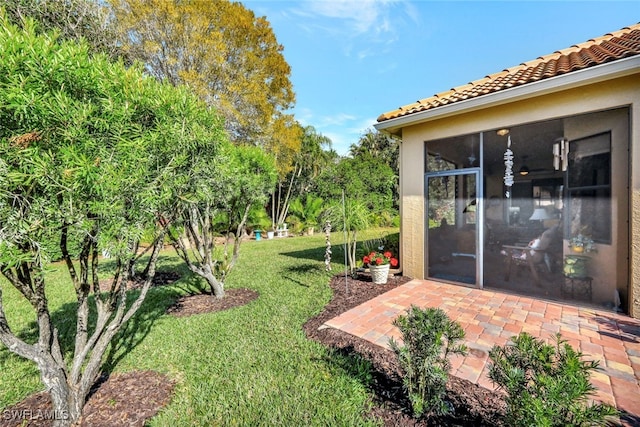 view of yard featuring a patio area