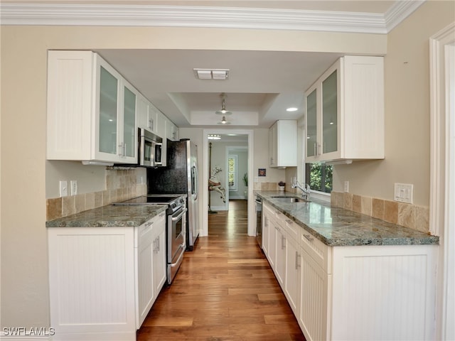 kitchen with sink, light stone counters, a tray ceiling, stainless steel appliances, and white cabinets