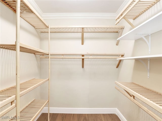 spacious closet with hardwood / wood-style floors