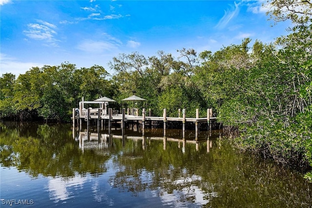 dock area with a water view