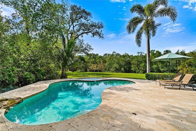 216 Cocohatchee Blvd, Naples, FL 34110 - swimming pool featuring a patio area