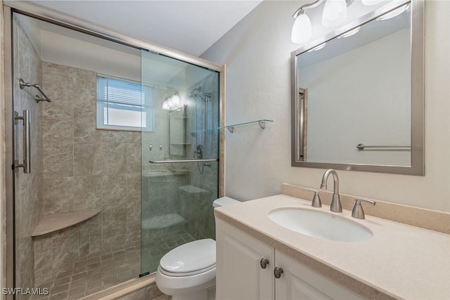 bathroom with vanity, a shower with door, and toilet