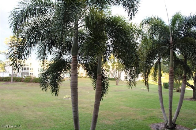 view of property's community with a lawn