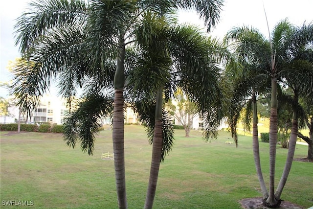 1580 Pine Valley Dr Unit 217, Fort Myers, FL 33907 - view of home's community with a lawn