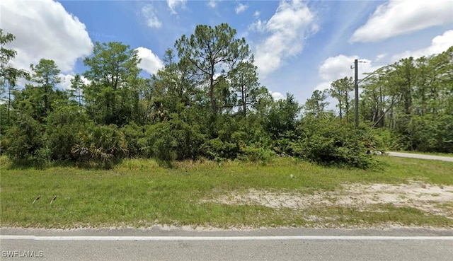 243 Greenbriar Blvd, Lehigh Acres FL, 33972 land for sale