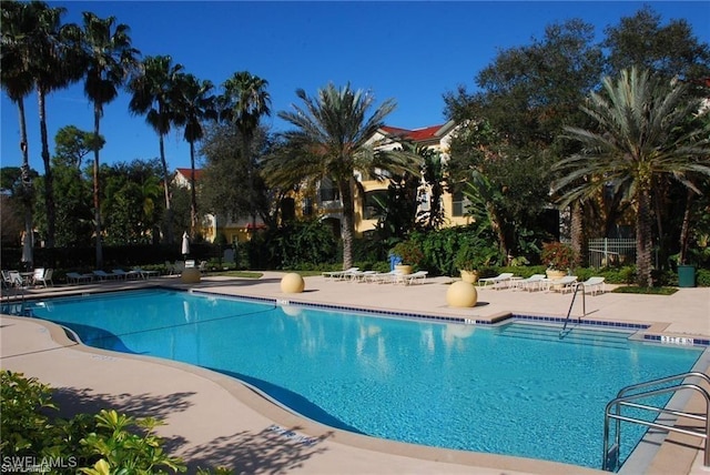 view of pool featuring a patio