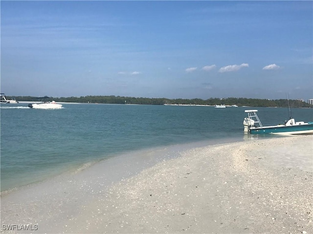 property view of water with a dock and a beach view