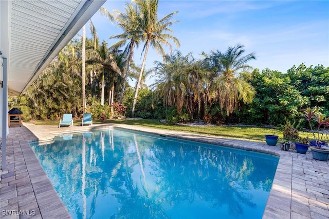 view of swimming pool featuring a patio