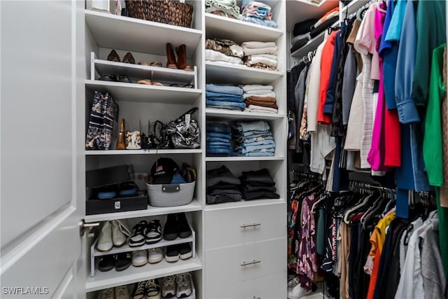 view of spacious closet