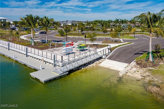 dock area with a water view