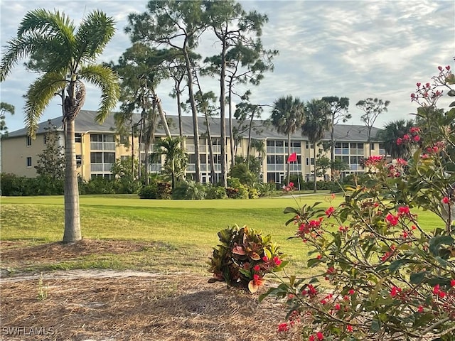 view of community with a lawn