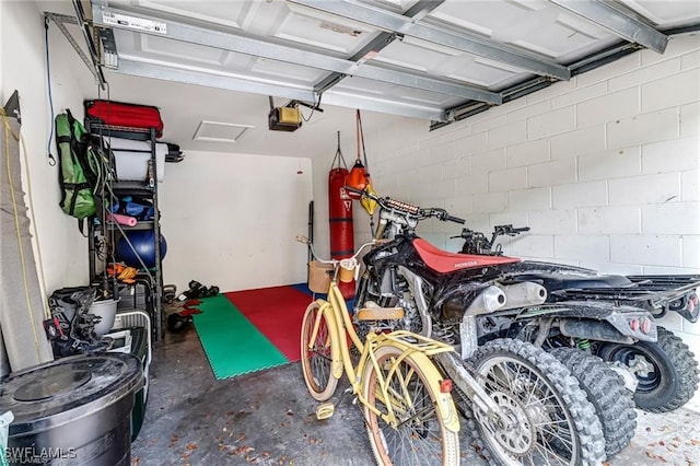 garage with a garage door opener