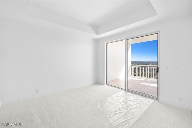 carpeted spare room with a raised ceiling