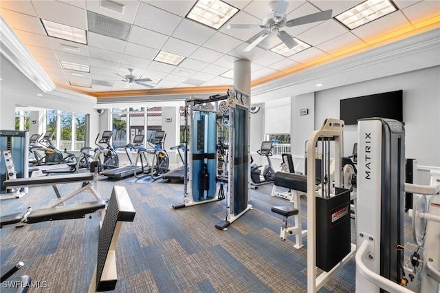 workout area with crown molding, carpet flooring, ceiling fan, and a tray ceiling