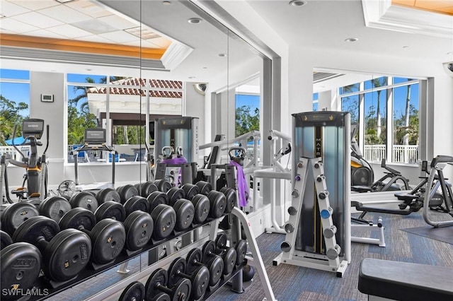 exercise room featuring a tray ceiling and a healthy amount of sunlight