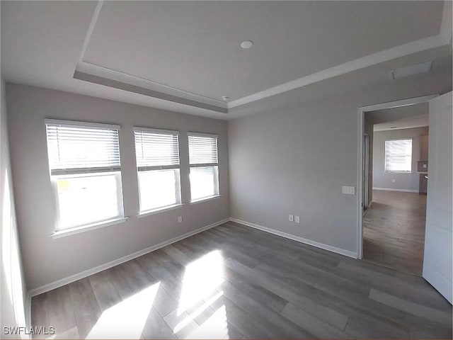 empty room featuring dark wood-type flooring, plenty of natural light, and a raised ceiling