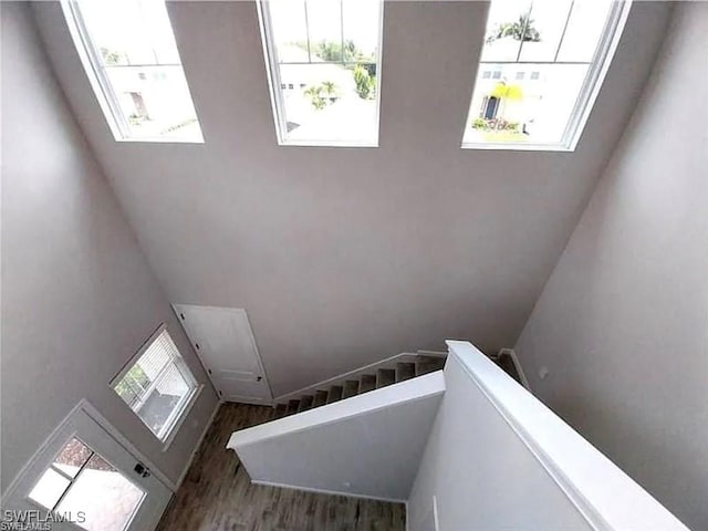 stairs featuring hardwood / wood-style flooring