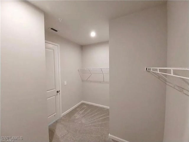 spacious closet with light carpet