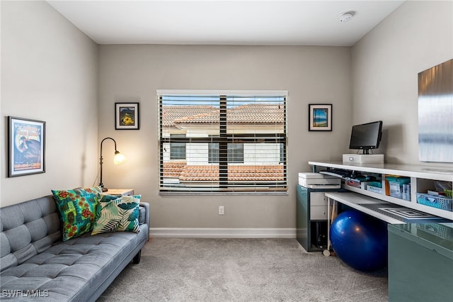 office featuring light colored carpet