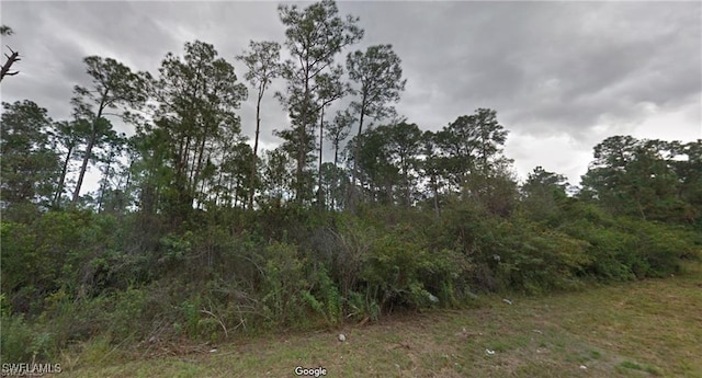 540 Wabasso Ave S, Lehigh Acres FL, 33974 land for sale