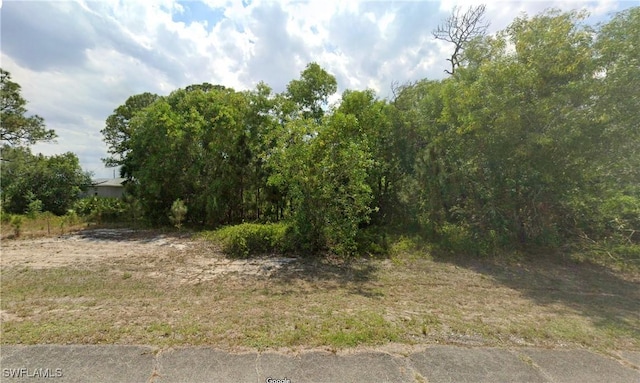 5003 Day Ln, Labelle FL, 33935 land for sale