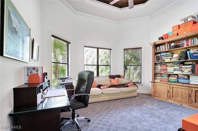 carpeted office with a high ceiling, crown molding, and a tray ceiling