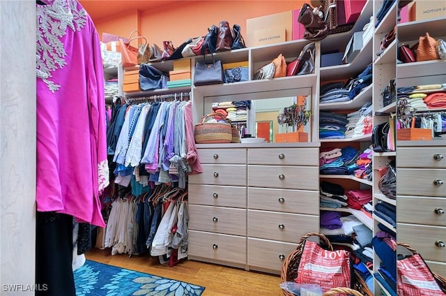 spacious closet featuring light hardwood / wood-style flooring