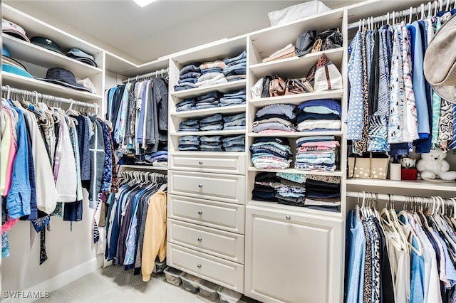 walk in closet featuring carpet flooring