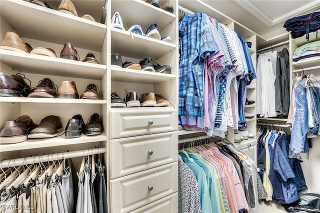 view of walk in closet