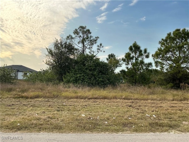 4559/4561 Golfview Blvd, Lehigh Acres FL, 33973 land for sale