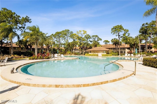 view of swimming pool with a patio area