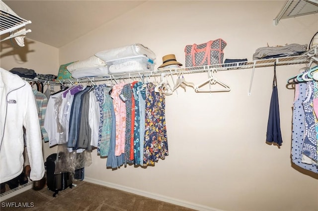 spacious closet with carpet