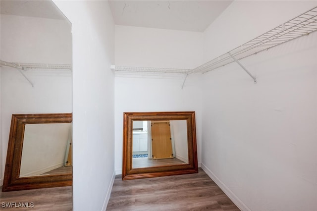 spacious closet featuring a high ceiling and wood-type flooring