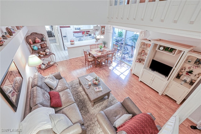 living room featuring hardwood / wood-style floors