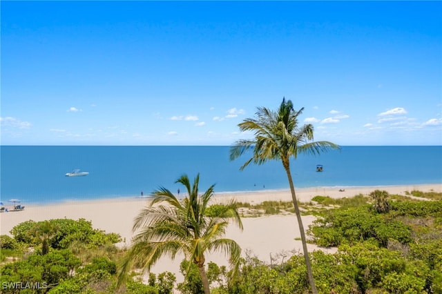 property view of water featuring a beach view