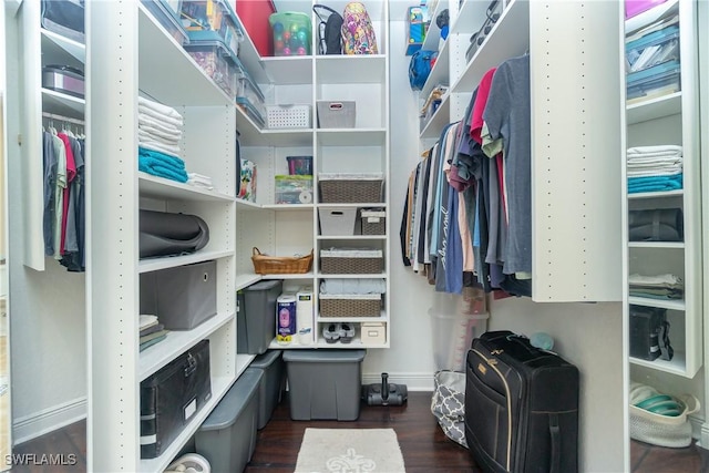 spacious closet featuring dark wood-type flooring