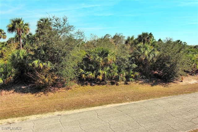 5060 N Peachtree Cir, Labelle FL, 33935 land for sale