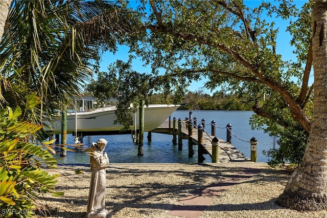 dock area with a water view