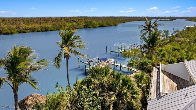 water view featuring boat lift, a forest view, and a boat dock