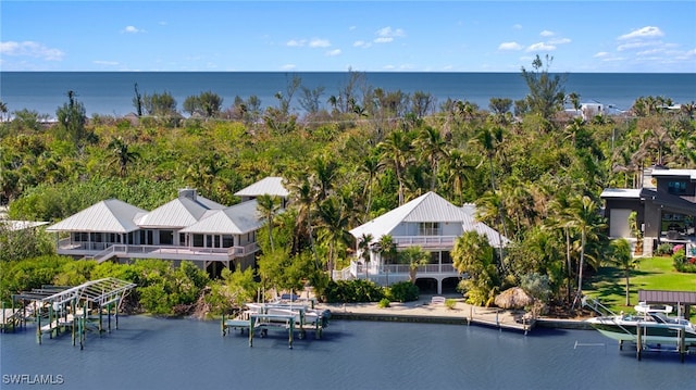 water view featuring a boat dock