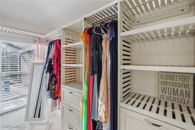 view of spacious closet