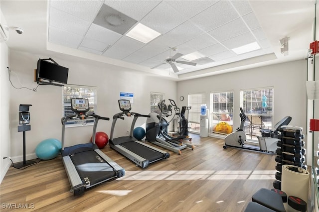 exercise room with a drop ceiling, a tray ceiling, hardwood / wood-style floors, and a wealth of natural light