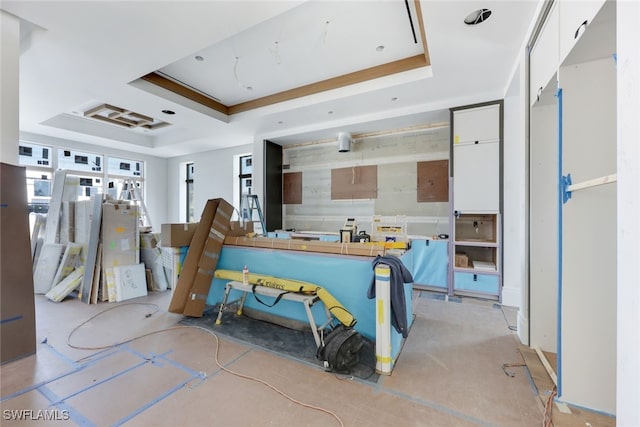 interior space with a raised ceiling and white cabinetry