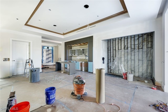 interior space featuring a raised ceiling