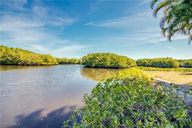 property view of water