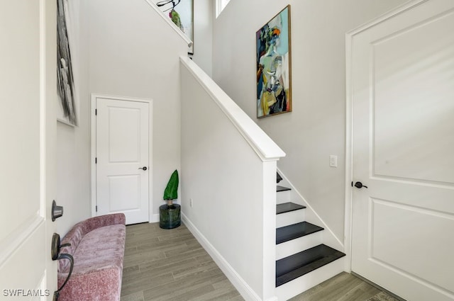 staircase featuring wood-type flooring