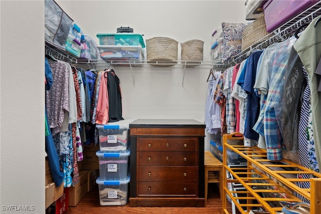 spacious closet featuring hardwood / wood-style flooring