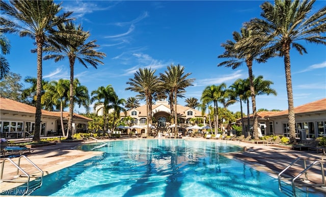 view of pool featuring a patio