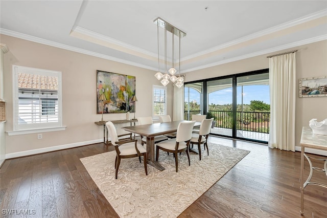 dining space with ornamental molding, a healthy amount of sunlight, and dark hardwood / wood-style floors